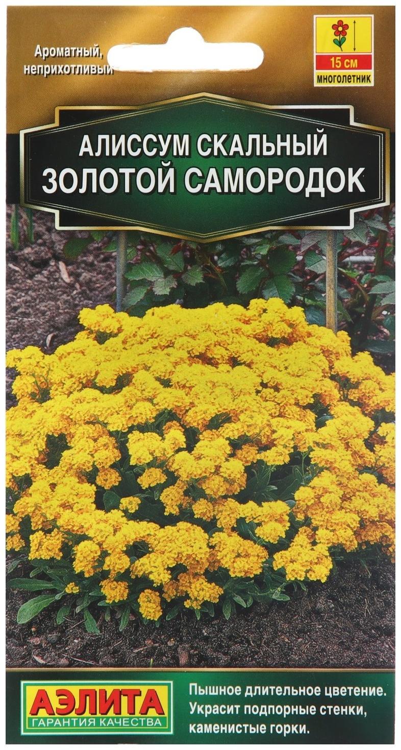 Семена Цветов Алиссум 