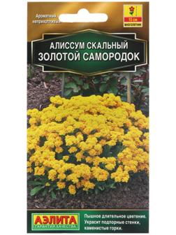 Семена Цветов Алиссум 