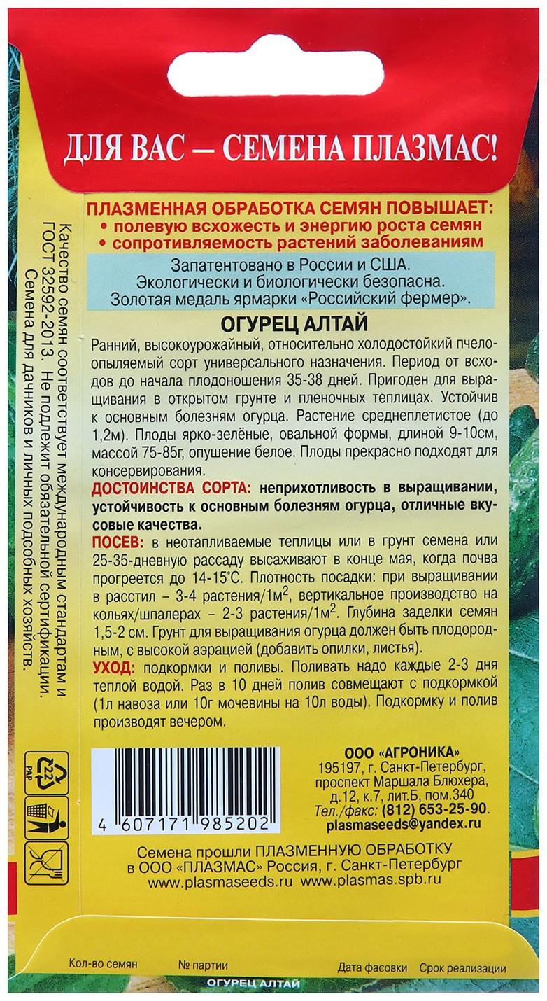 Огурец Алтай (сибирская селекция)