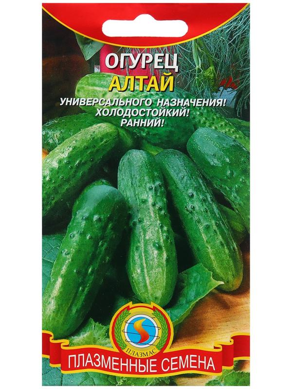 Огурец Алтай (сибирская селекция)