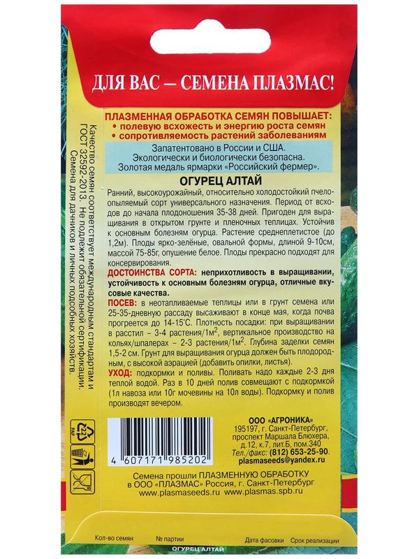 Огурец Алтай (сибирская селекция)