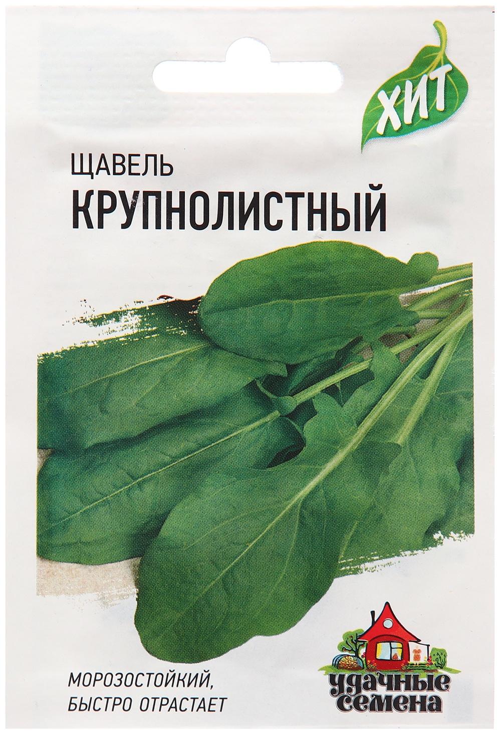 Семена Щавель 