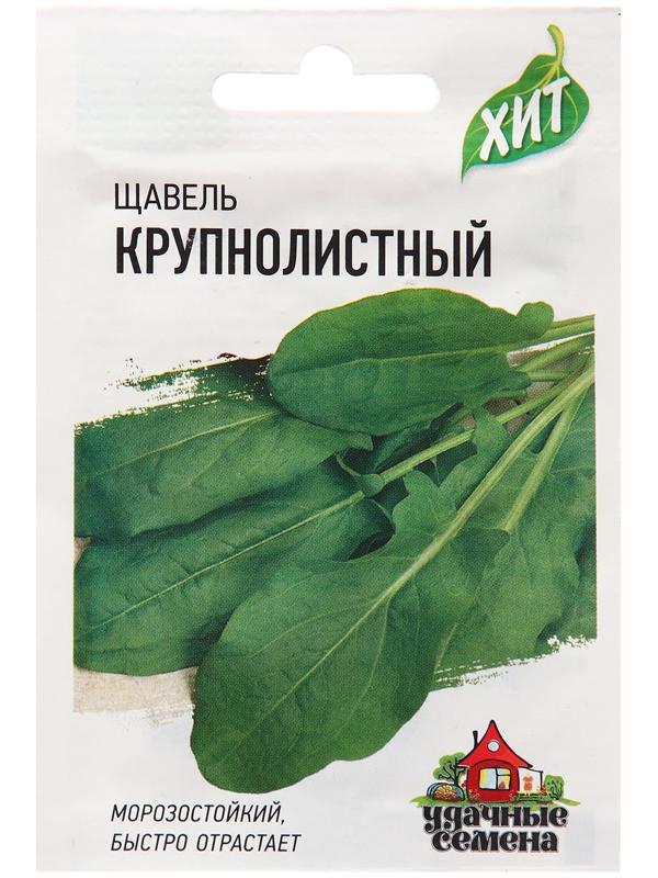 Семена Щавель 