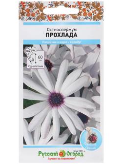 Семена цветов Остеоспермум 