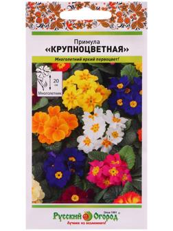 Семена цветов Примула 