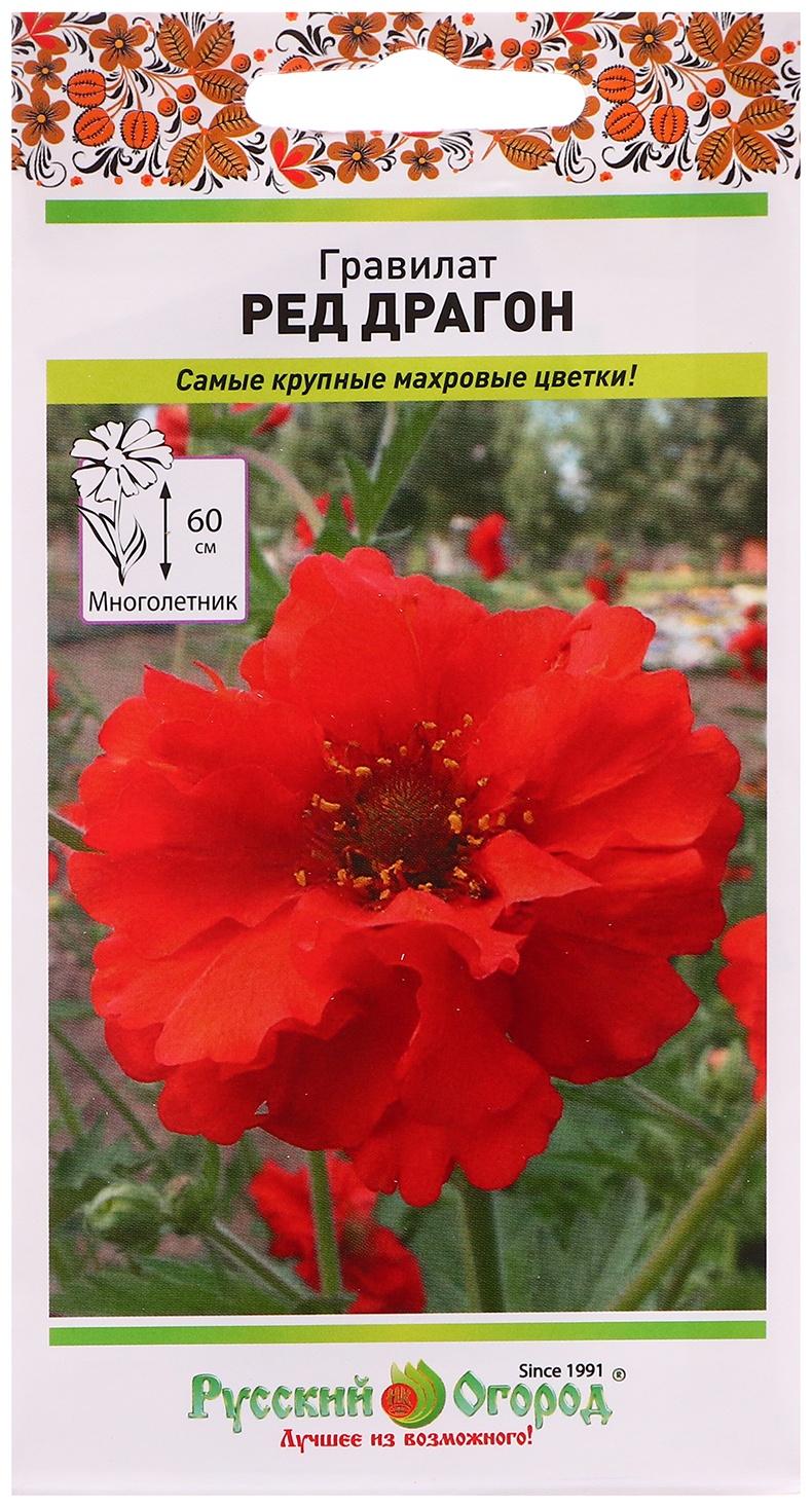 Семена цветов Гравилат 