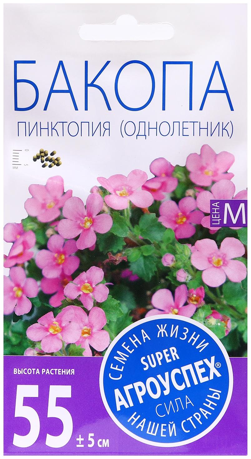 Семена цветов Бакопа 