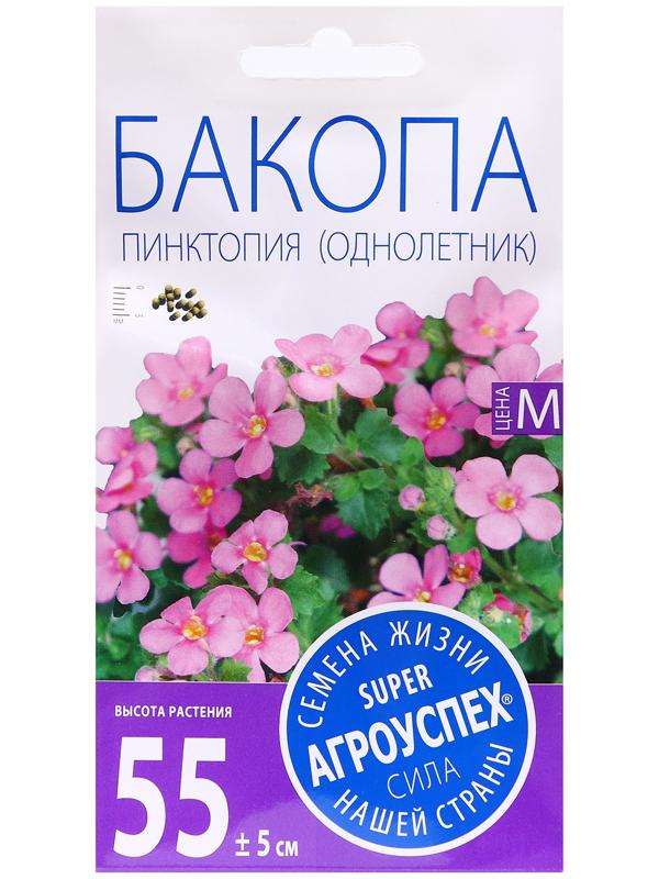 Семена цветов Бакопа 