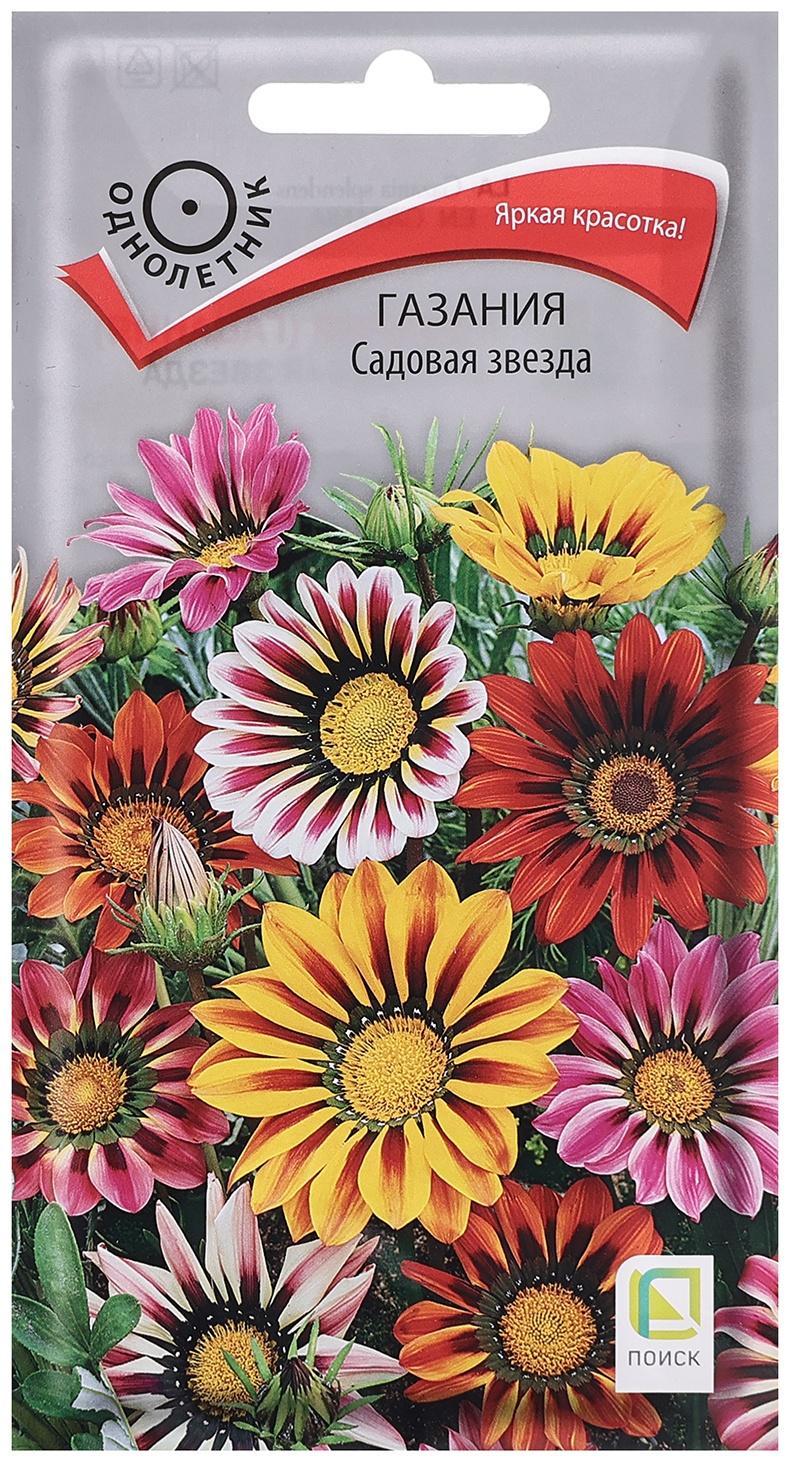 Семена цветов Газания 