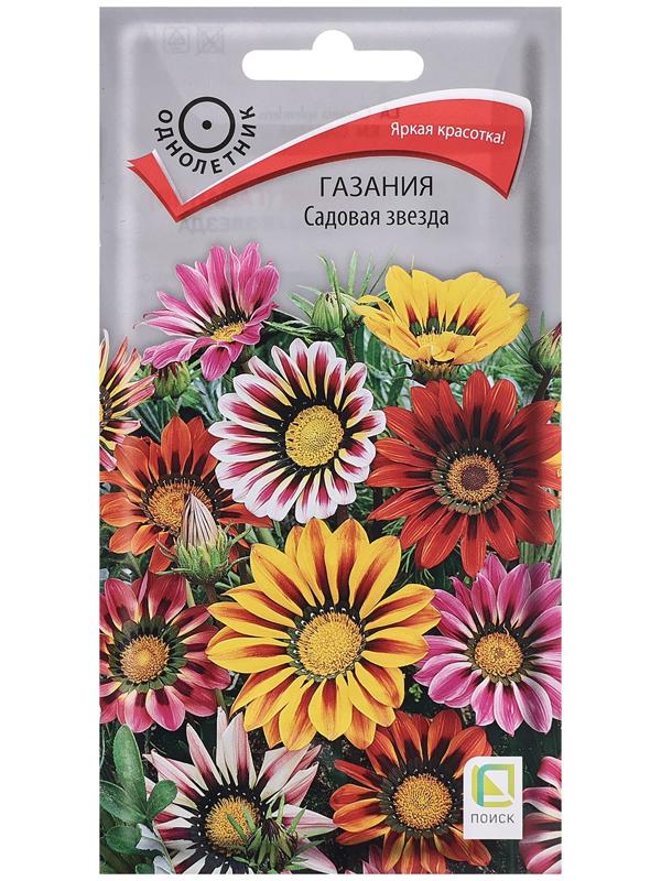 Семена цветов Газания 