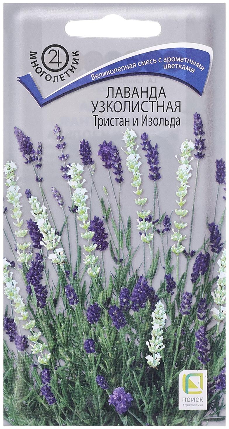 Семена цветов Лаванда узколистная 