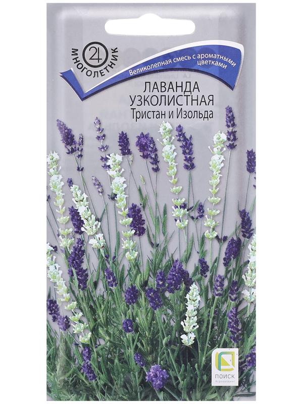 Семена цветов Лаванда узколистная 