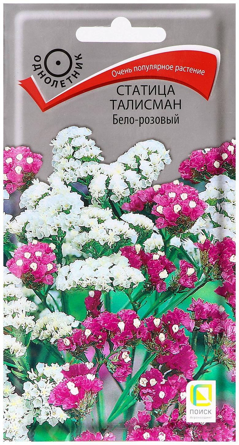 Семена цветов Статица 