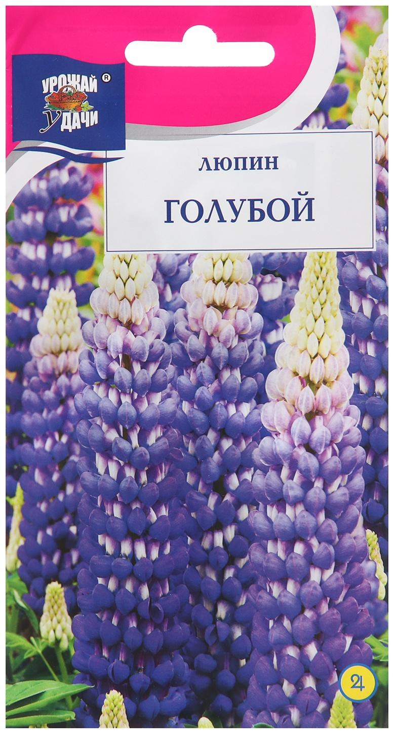 Семена цветов Люпин 