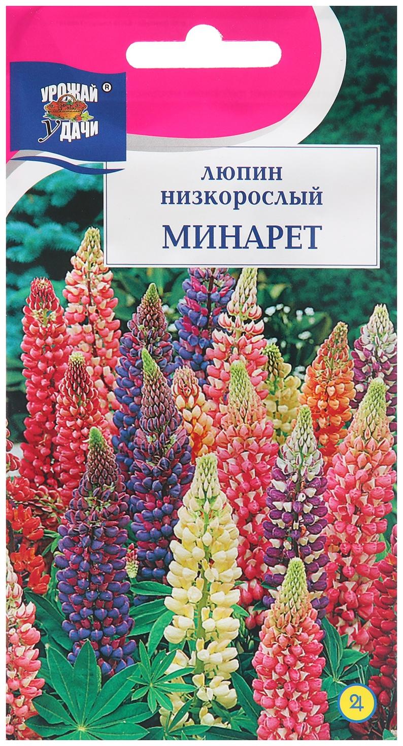 Семена цветов Люпин 