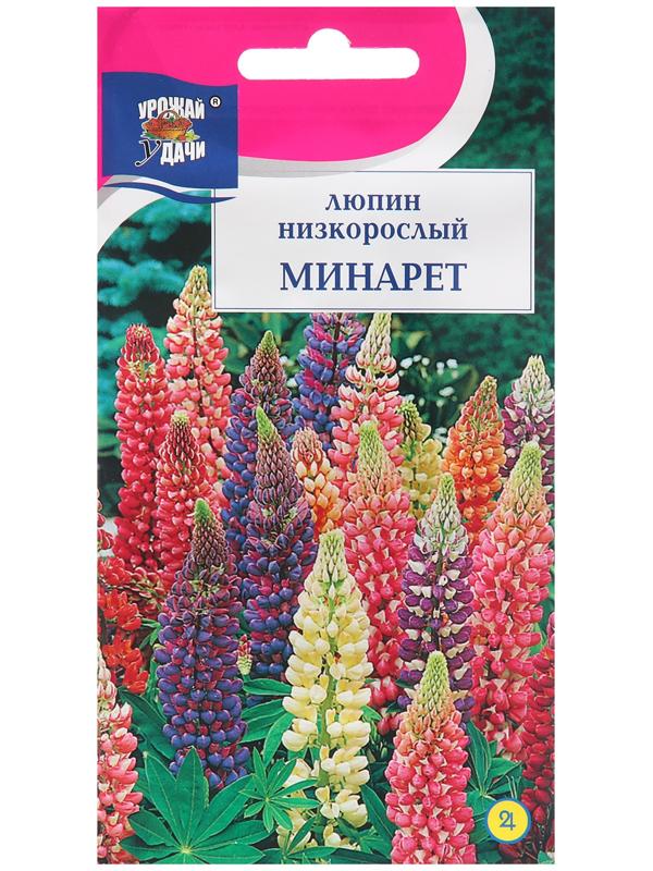 Семена цветов Люпин 