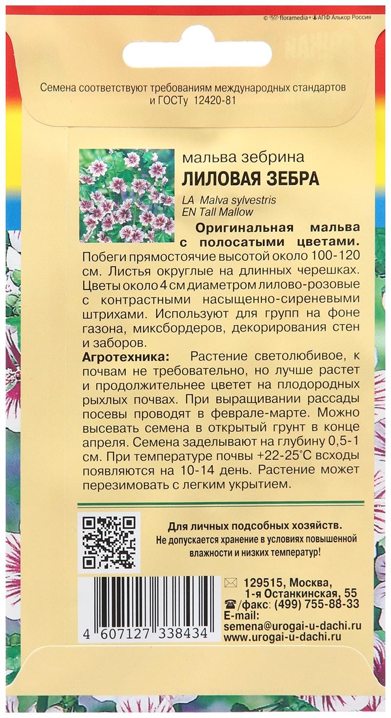 Семена цветов Мальва зебрина 