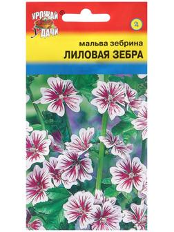 Семена цветов Мальва зебрина 