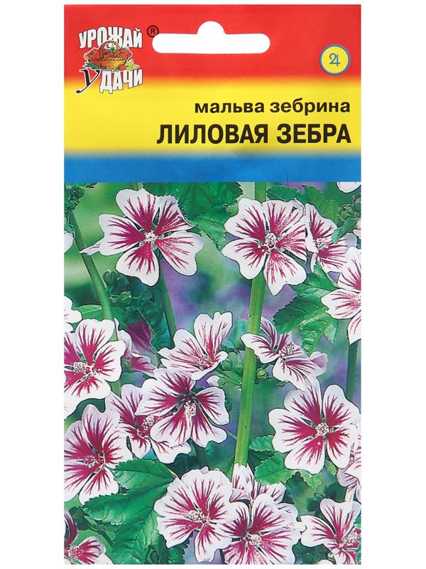 Семена цветов Мальва зебрина 