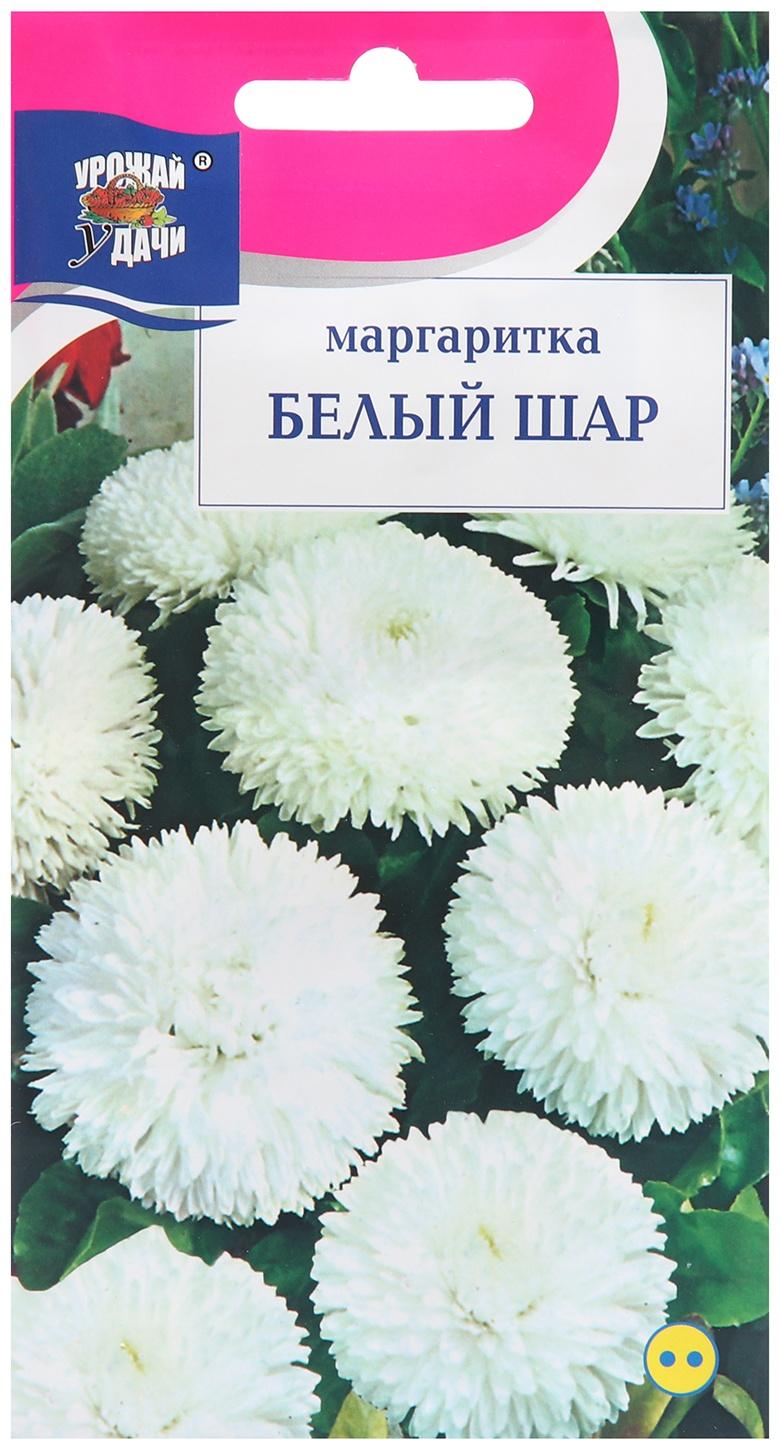 Семена цветов Маргаритка 