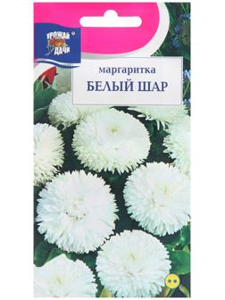 Семена цветов Маргаритка 