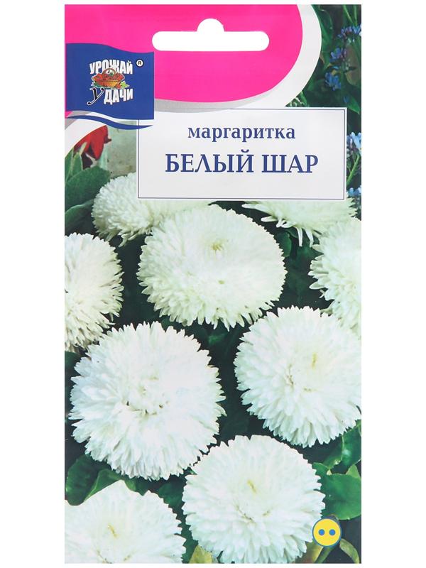 Семена цветов Маргаритка 