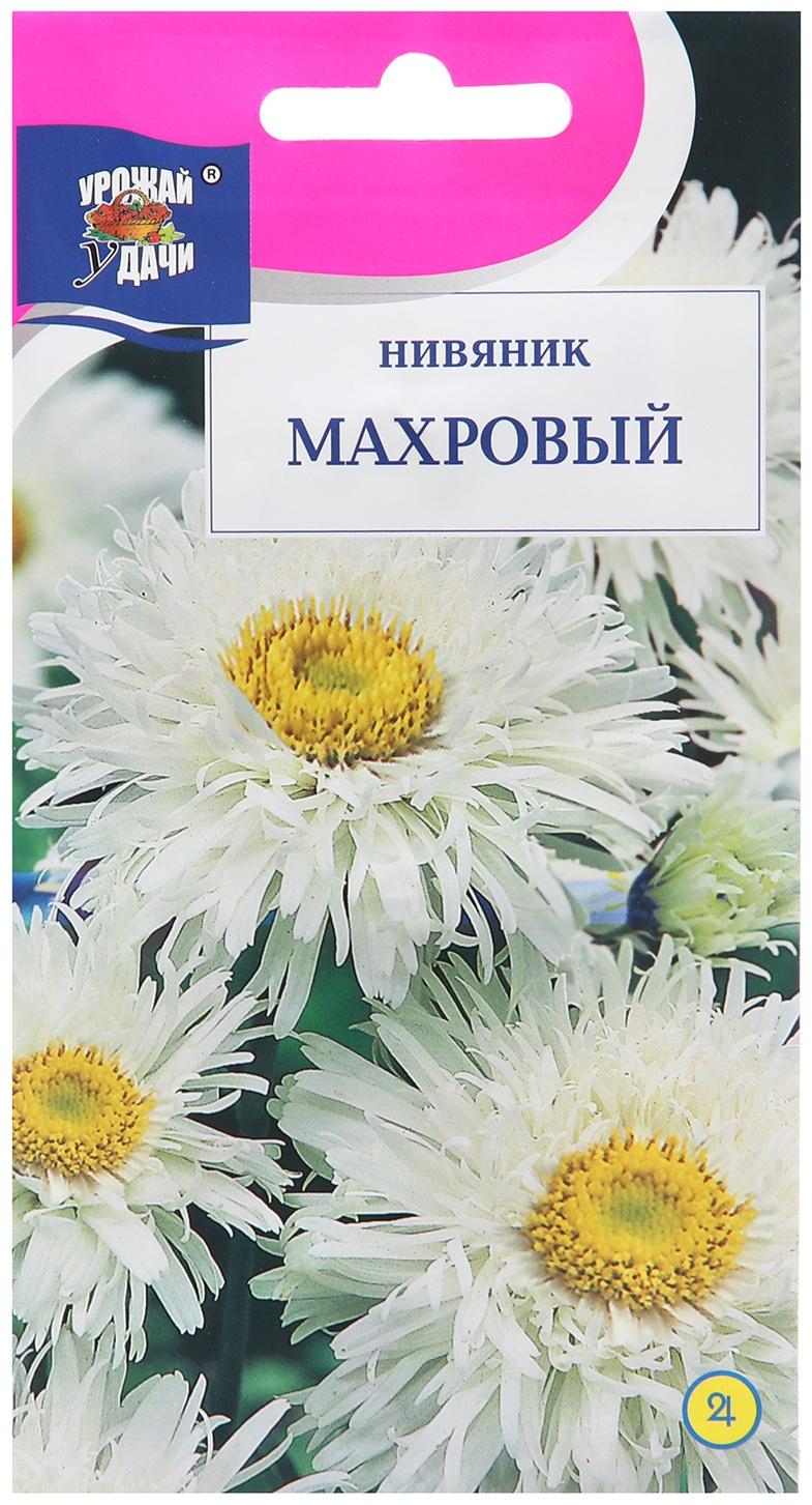 Семена цветов Нивяник Махровый, 0,03г