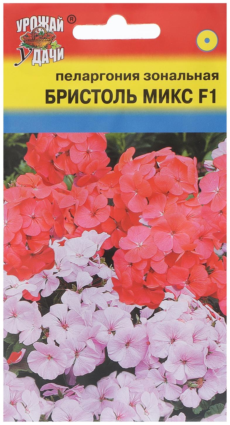 Семена цветовПеларгония 