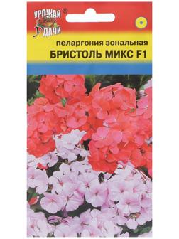 Семена цветовПеларгония 