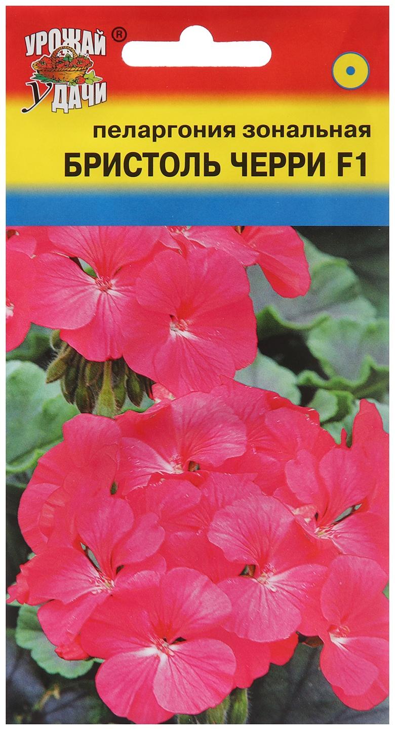 Семена цветов Пеларгония 