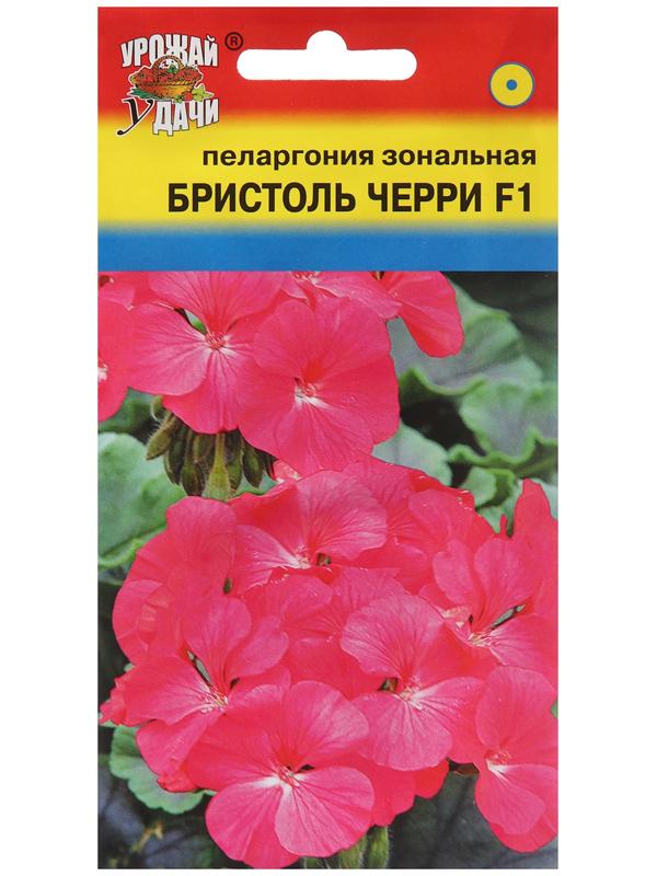 Семена цветов Пеларгония 