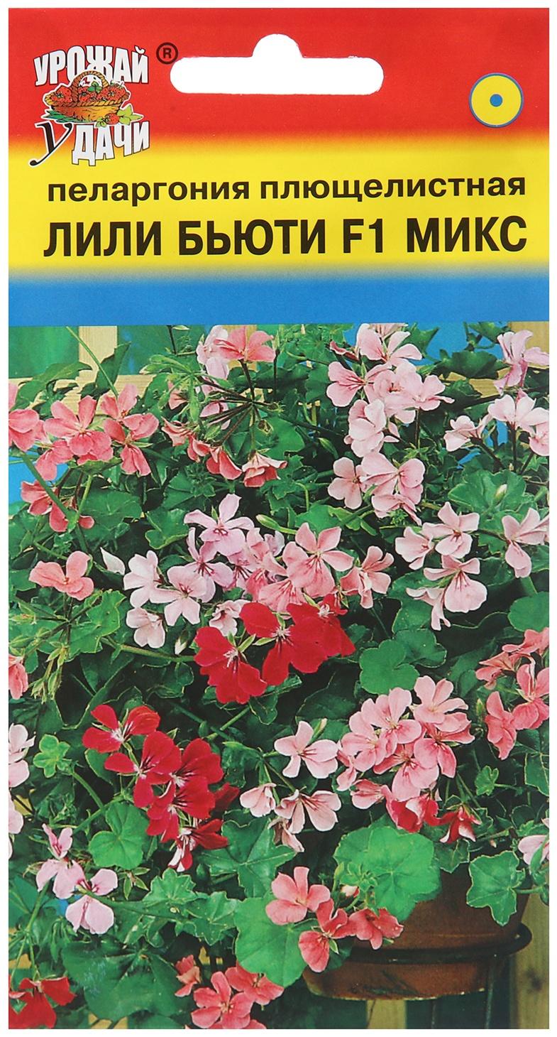 Семена цветов Пеларгония 