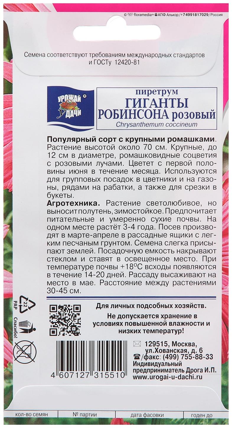 Семена цветов Пиретрум 