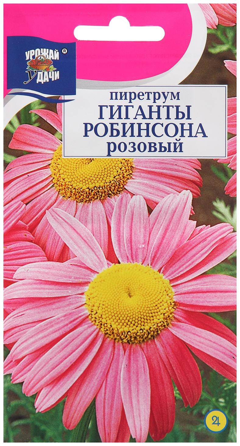 Семена цветов Пиретрум 