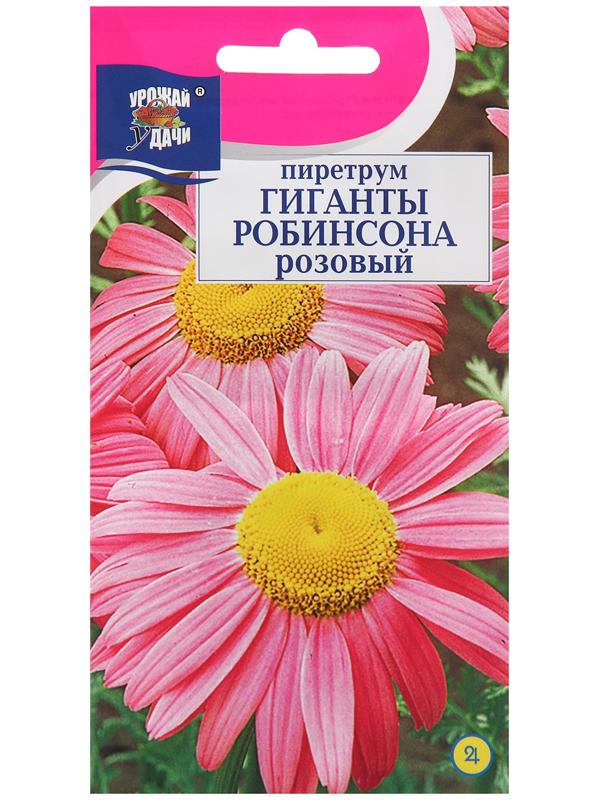 Семена цветов Пиретрум 