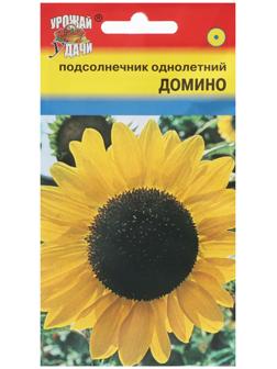 Семена цветов Подсолнечник 