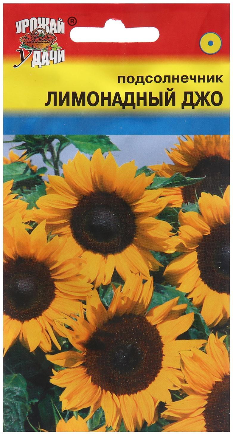 Семена цветов Подсолнечник 