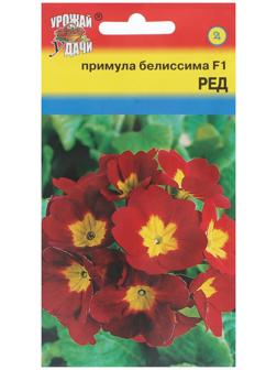 Семена цветов Примула 