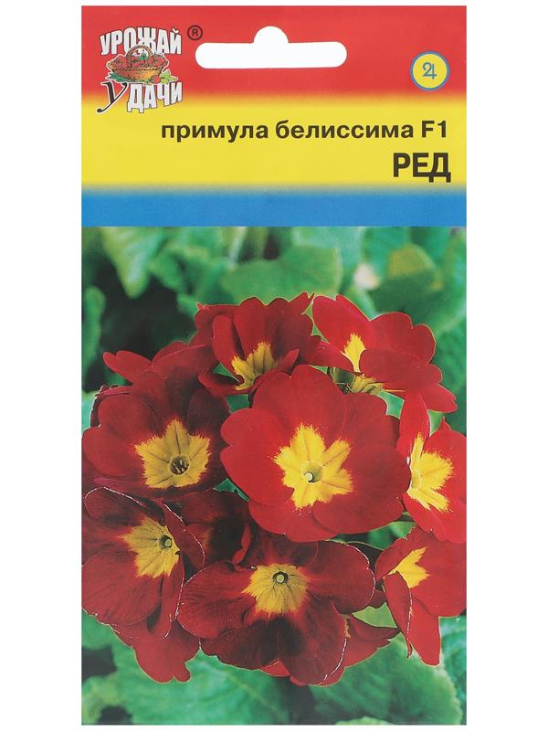 Семена цветов Примула 