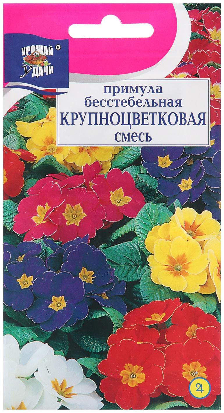 Семена цветов Примула 