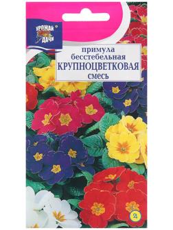 Семена цветов Примула 