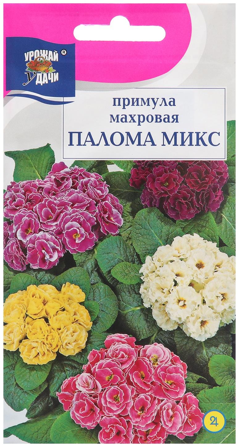 Семена цветов Примула Махровая 