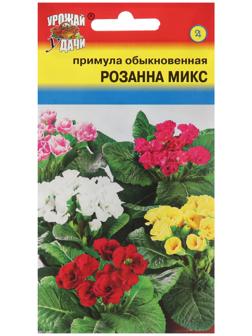 Семена цветов Примула 