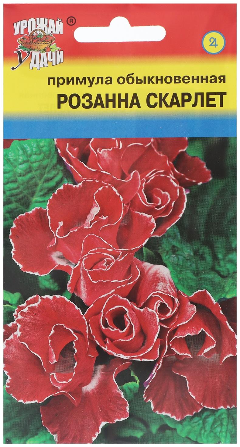 Семена цветов Примула 