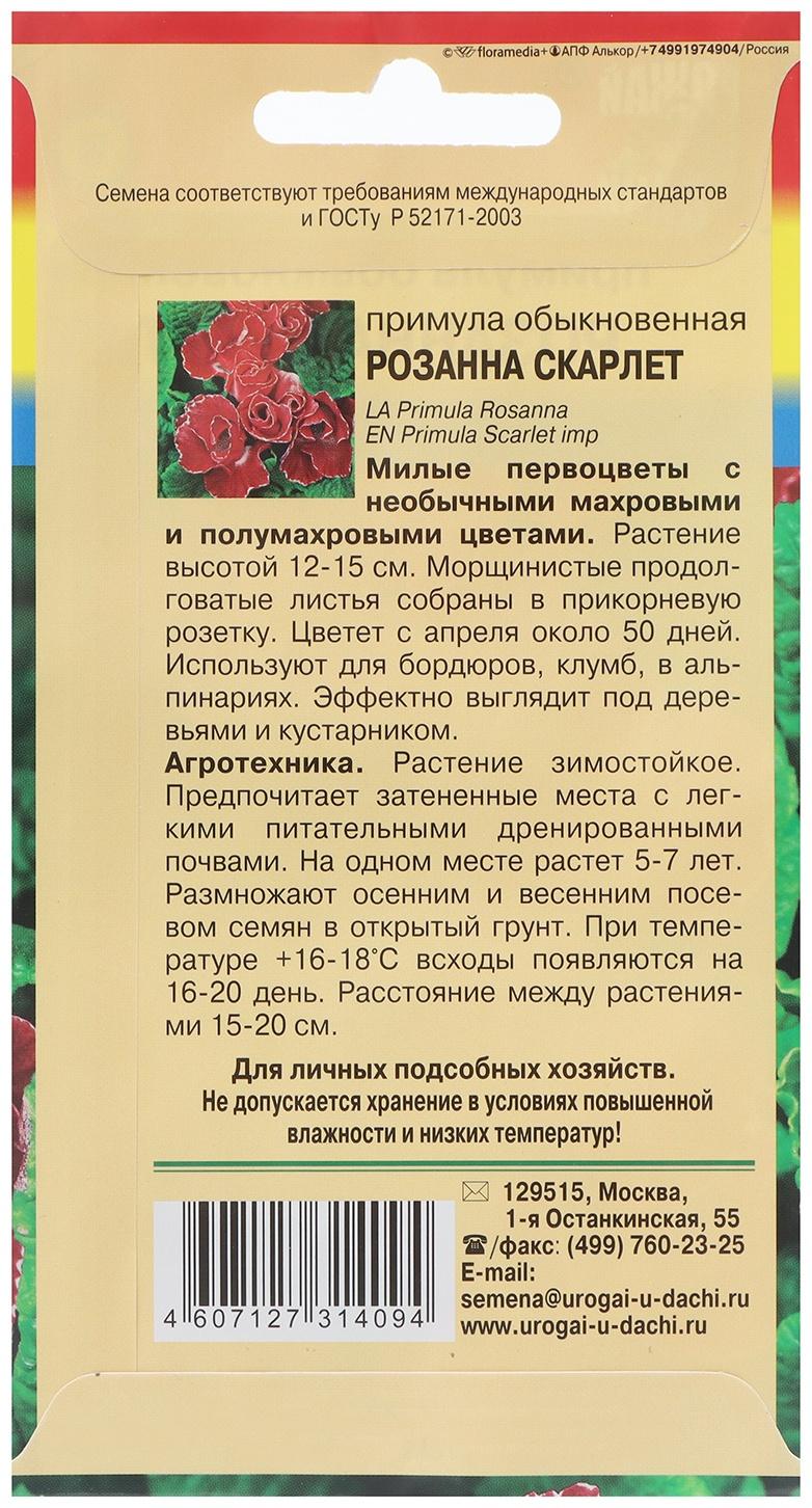 Семена цветов Примула 