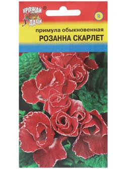 Семена цветов Примула 