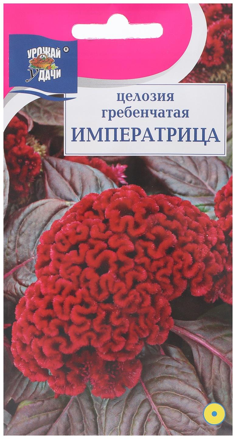 Семена цветов Целозия гребенчатая 