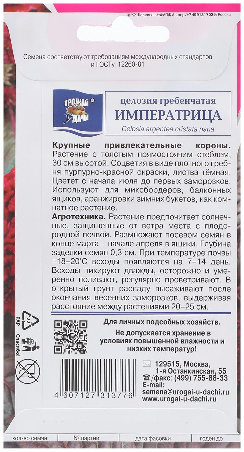 Семена цветов Целозия гребенчатая 