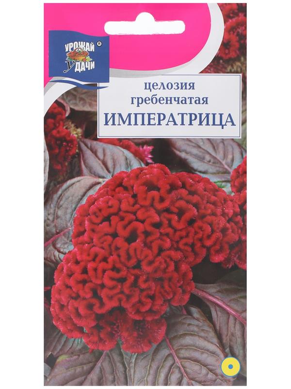 Семена цветов Целозия гребенчатая 