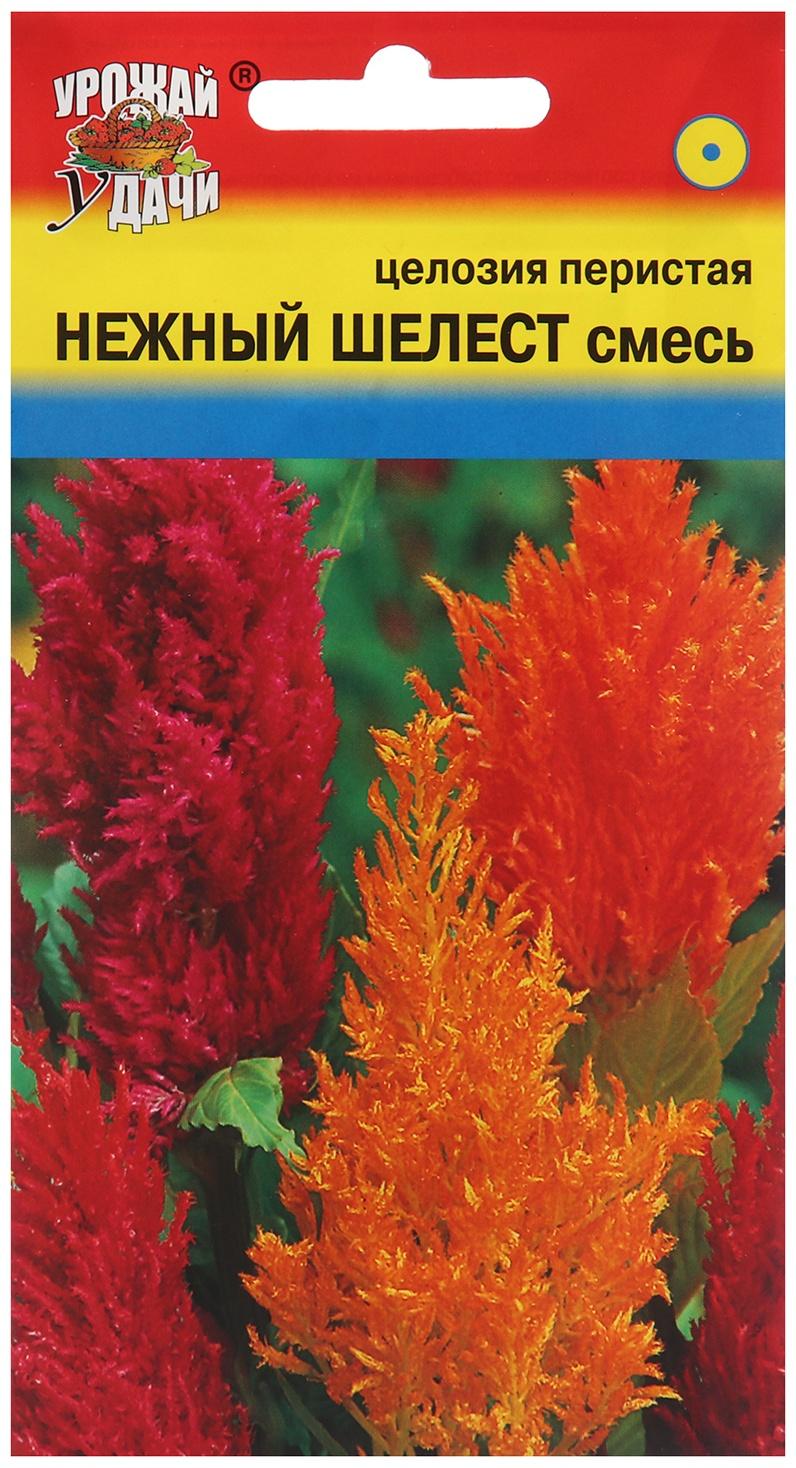 Семена цветов Целозия перистая 